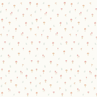 Papel de parede Cogumelos