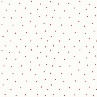 Tecido Flores joaninha P