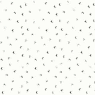 Papel de parede Futebol 2