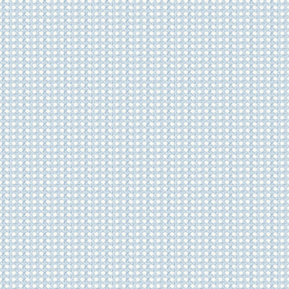 Papel de parede Palmeiras palhinha azul