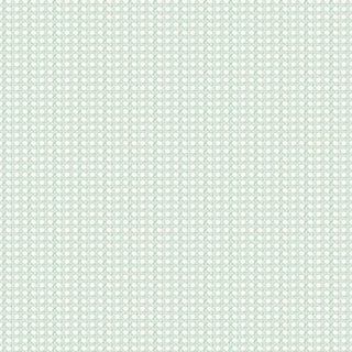Papel de parede Palmeiras palhinha verde