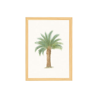 Quadro Palmeiras 12